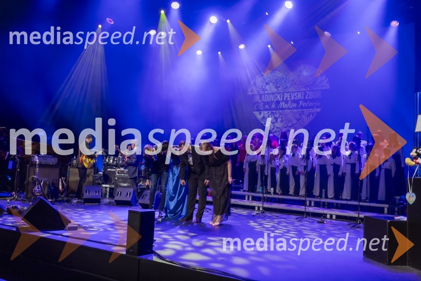 Veliki dobrodelni koncert VILJEM JULIJAN 2024