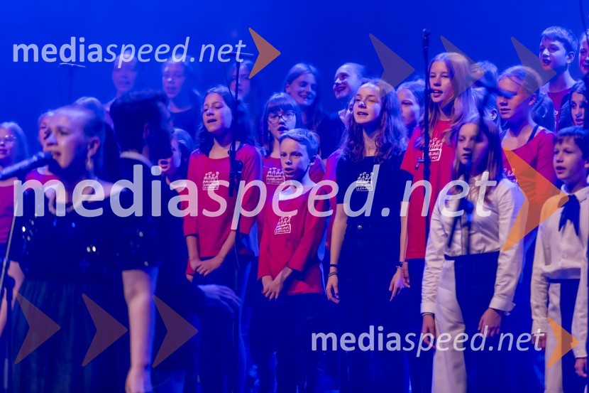 Veliki dobrodelni koncert VILJEM JULIJAN 2024