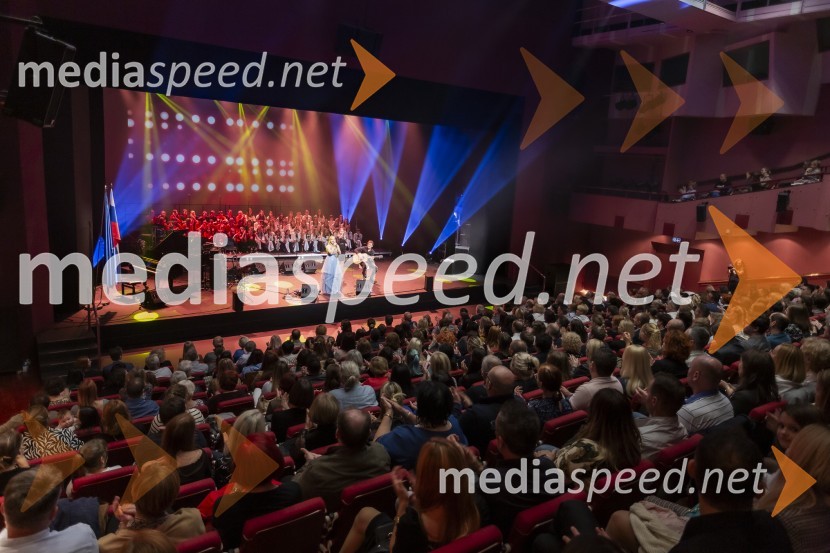 Veliki dobrodelni koncert VILJEM JULIJAN 2024