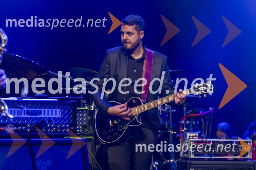 Veliki dobrodelni koncert VILJEM JULIJAN 2024