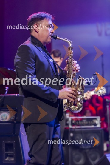 Veliki dobrodelni koncert VILJEM JULIJAN 2024