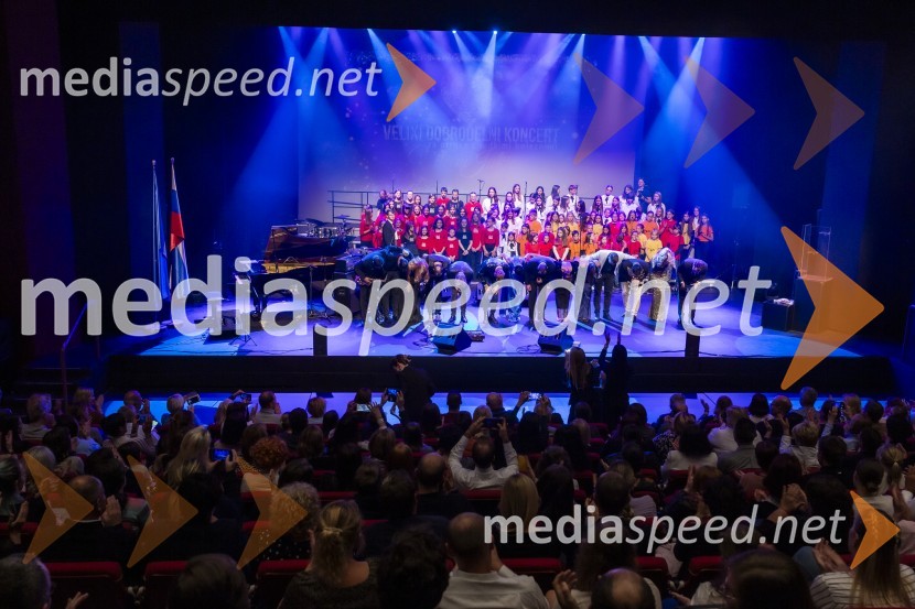 Veliki dobrodelni koncert VILJEM JULIJAN 2024