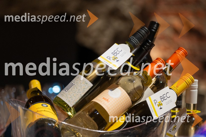 PUBEC 2024, novinarska konferenca