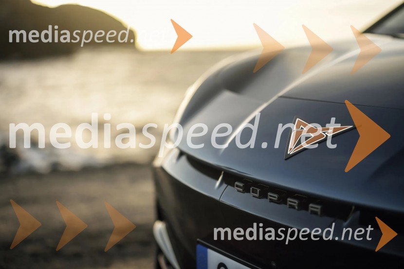 CUPRA Tavascan – potovanje h koreninam