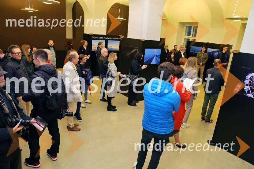 Dijana Božić: V razkošju mariborskih utrinkov, fotografska razstava