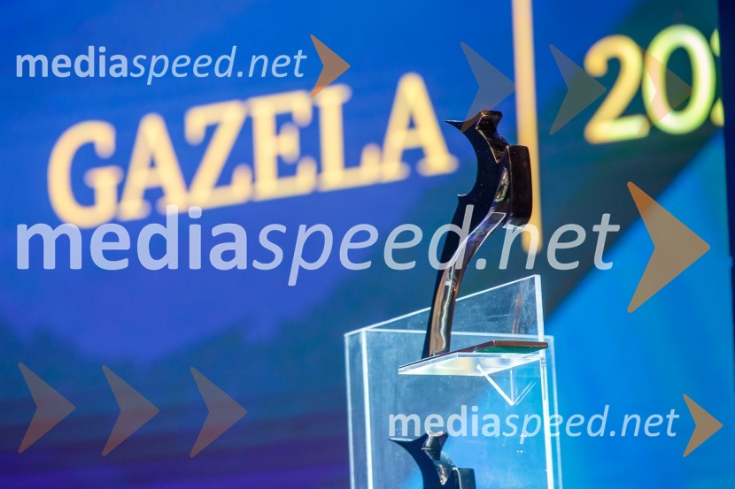 Zlata gazela Slovenije 2024 je podjetje Hyla