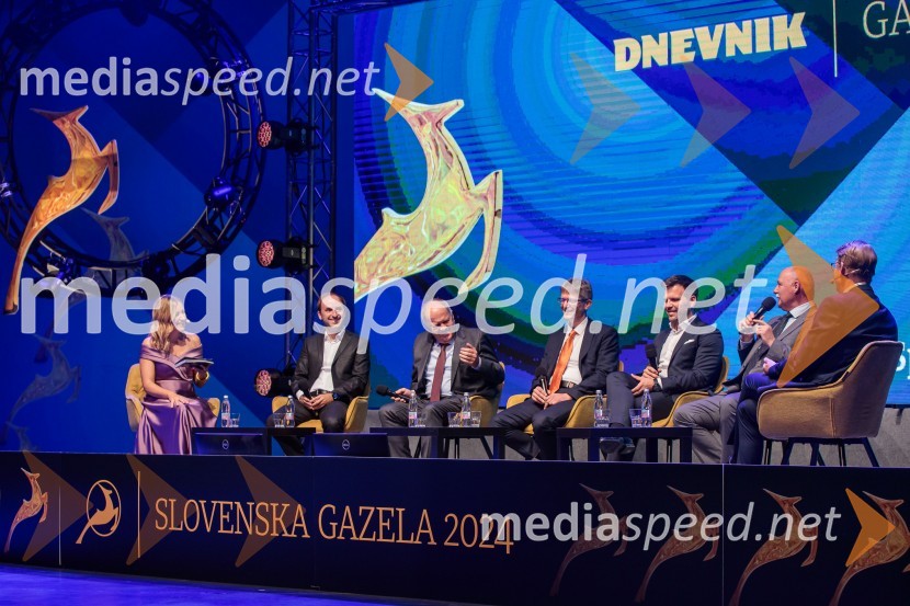  Anja Hlača Ferjančič, novinarka, RTV;  Andraž Krajnc, Caretronic, bronasta gazela 2024;  Janez Pogačar, Hyla, zlata gazela 2024;  ... ;  ... ;  Tomo Kres, Trgograd, srebrna gazela 2024Zlata gazela Slovenije 2024 je podjetje Hyla