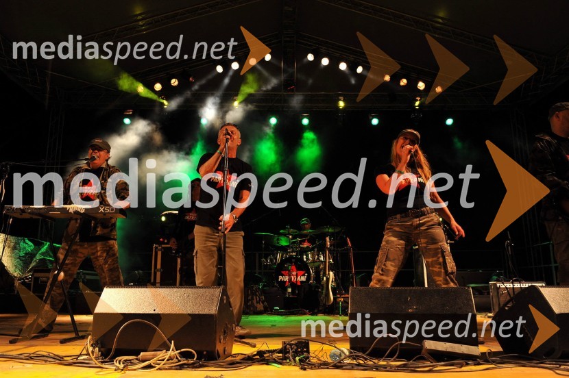 Rock PartyzaniVransko summer night 2009