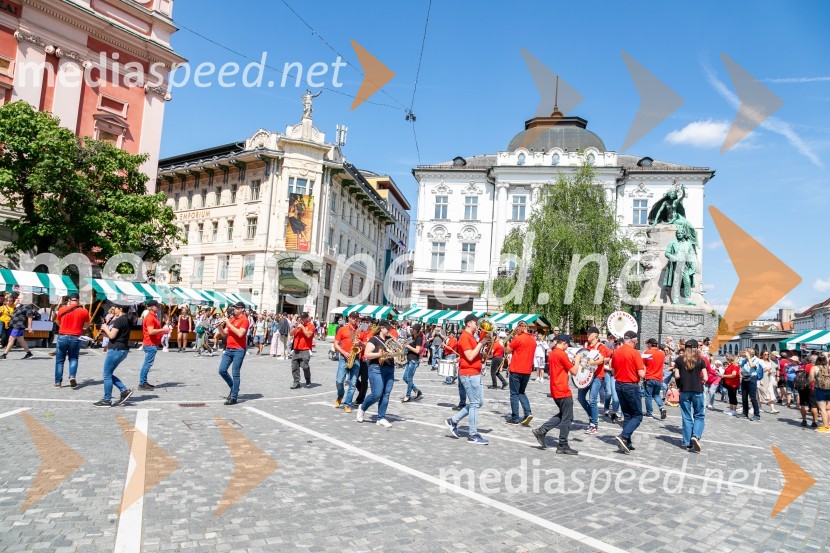 Prihajata Ljubljanska vinska pot in Slovenski festival vin!