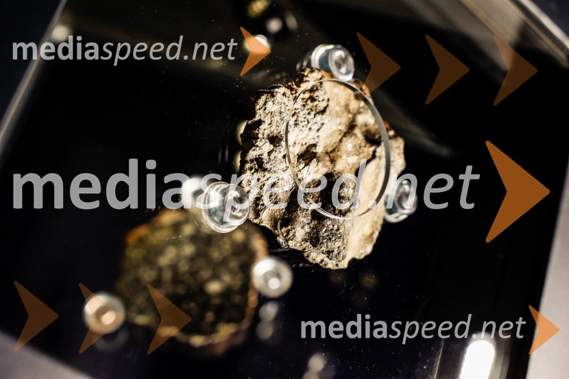 Vsega je kriva Luna, odprtje razstave v Prirodoslovnem muzeju Slovenije