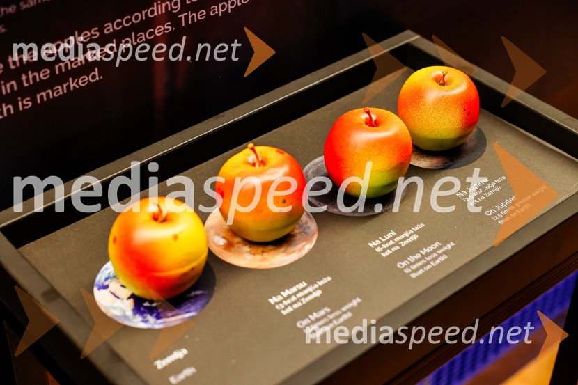 Vsega je kriva Luna, odprtje razstave v Prirodoslovnem muzeju Slovenije