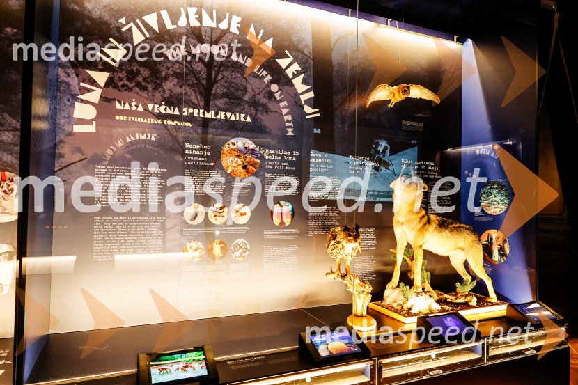 Vsega je kriva Luna, odprtje razstave v Prirodoslovnem muzeju Slovenije