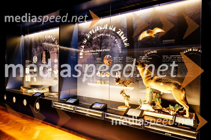 Vsega je kriva Luna, odprtje razstave v Prirodoslovnem muzeju Slovenije