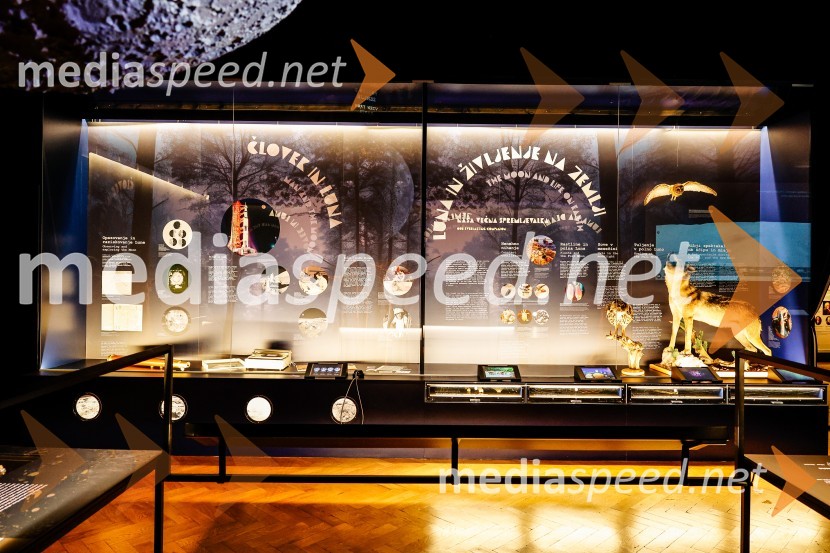 Vsega je kriva Luna, odprtje razstave v Prirodoslovnem muzeju Slovenije