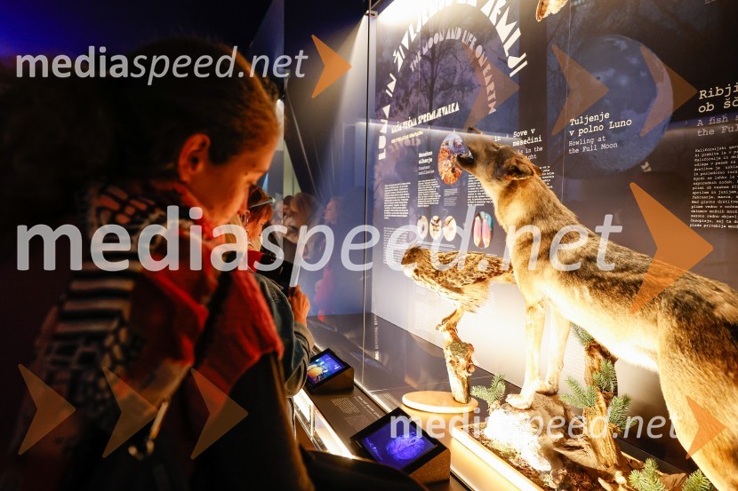 Vsega je kriva Luna, odprtje razstave v Prirodoslovnem muzeju Slovenije