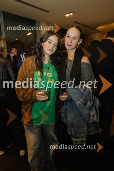 Luč ugasne, premiera drame v MGL