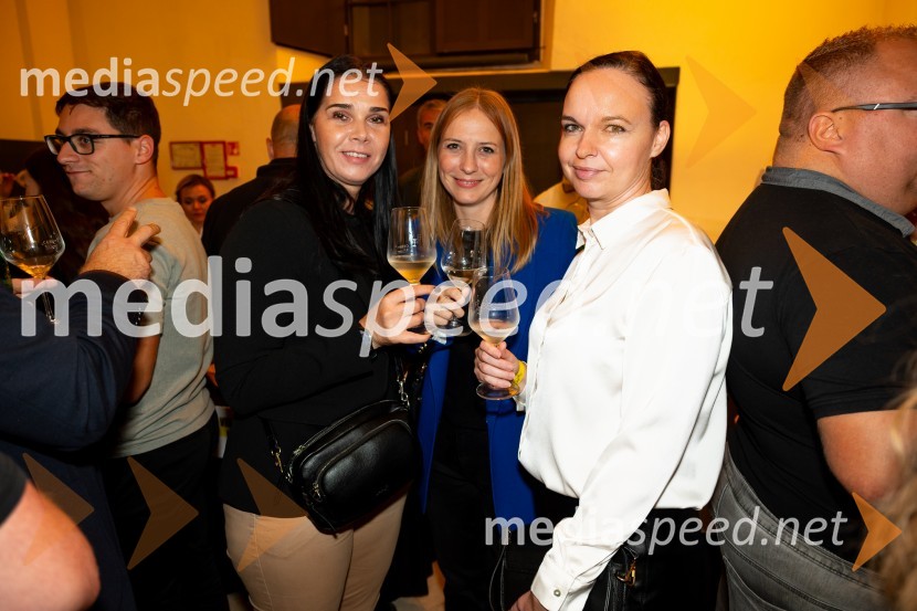 9. salon štajerskih mladih vin Pubec 2024 v Mariboru