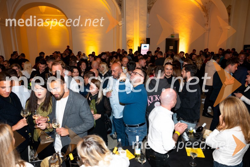 9. salon štajerskih mladih vin Pubec 2024 v Mariboru