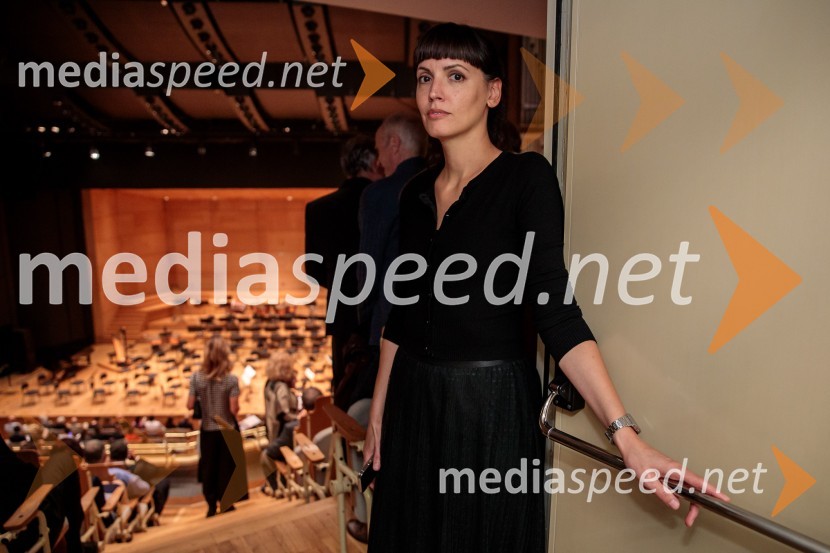 Bamberški simfoniki, koncert v Cankarjevem domu