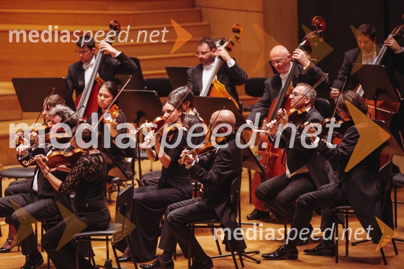 Bamberški simfoniki, koncert v Cankarjevem domu