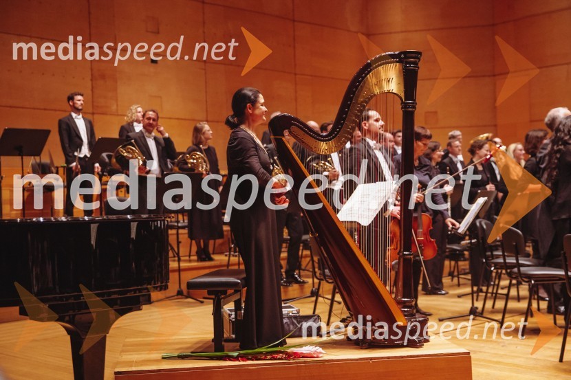 Bamberški simfoniki, koncert v Cankarjevem domu