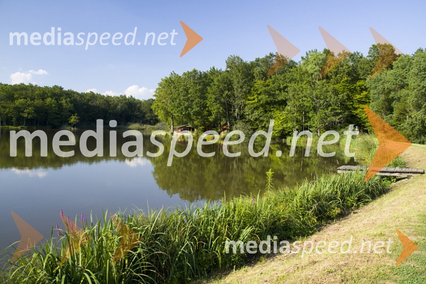 Pomurje – 5 idej za nepozaben izlet