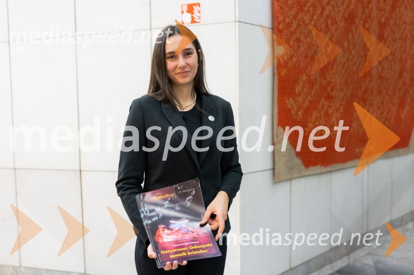 Univerzum: Odisejada temnih kristalov, plesna predstava v Cankarjevem domu