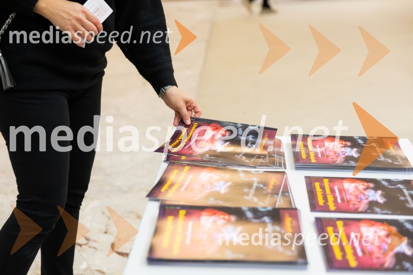 Univerzum: Odisejada temnih kristalov, plesna predstava v Cankarjevem domu