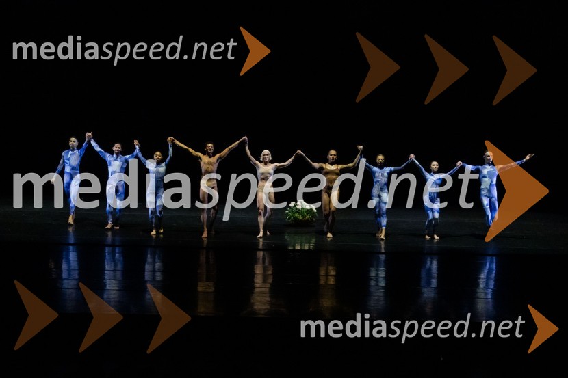 Univerzum: Odisejada temnih kristalov, plesna predstava v Cankarjevem domu