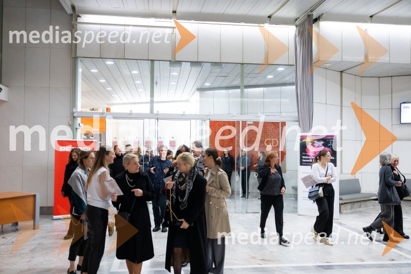 Univerzum: Odisejada temnih kristalov, plesna predstava v Cankarjevem domu