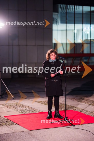 dr. Alix Landgrebe, direktorica, Goethe-Institut v LjubljaniKant 300, pogovorni večer v Cankarjevem domu