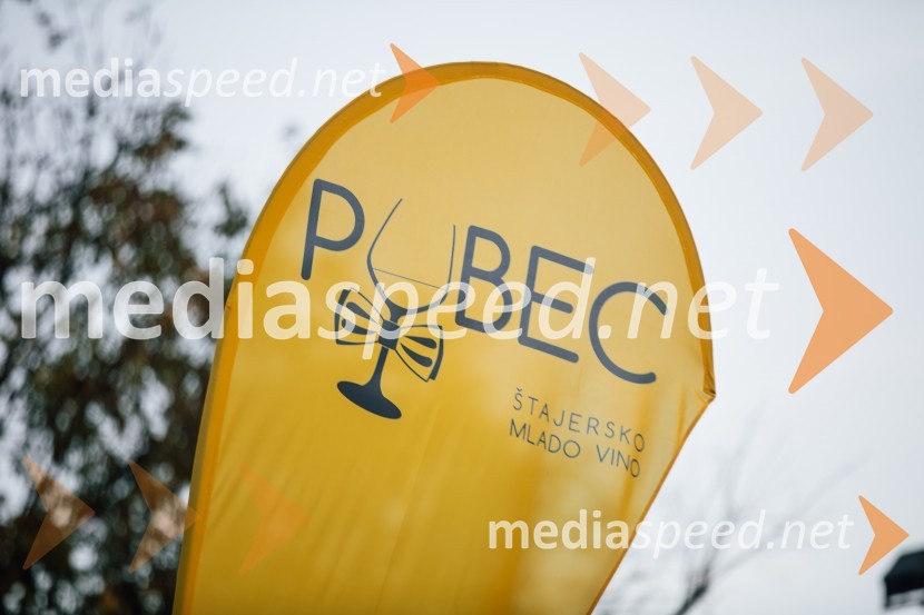 Salon štajerskih mladih vin Pubec 2024 v Ljubljani