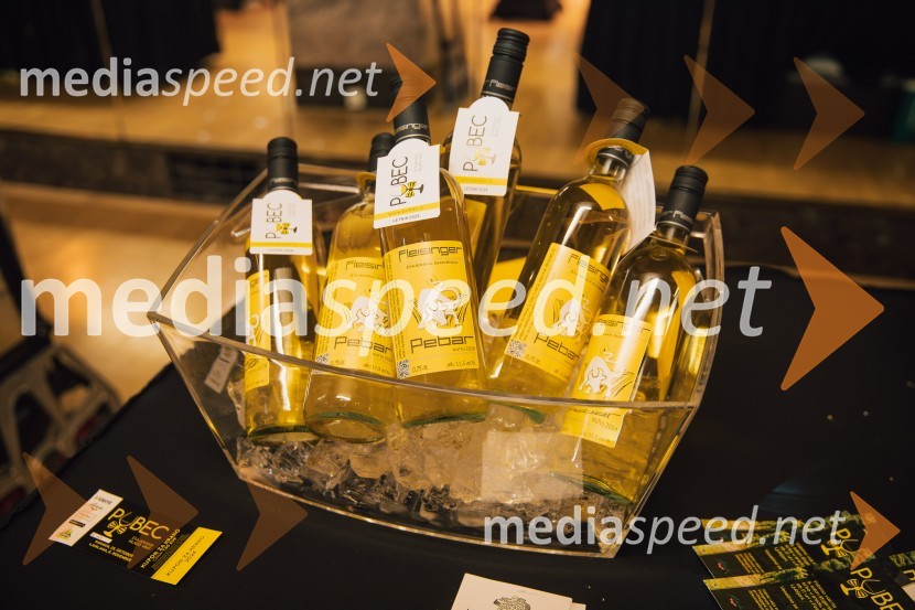 Salon štajerskih mladih vin Pubec 2024 v Ljubljani