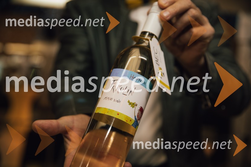 Salon štajerskih mladih vin Pubec 2024 v Ljubljani