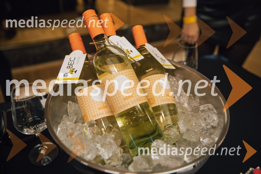 Salon štajerskih mladih vin Pubec 2024 v Ljubljani