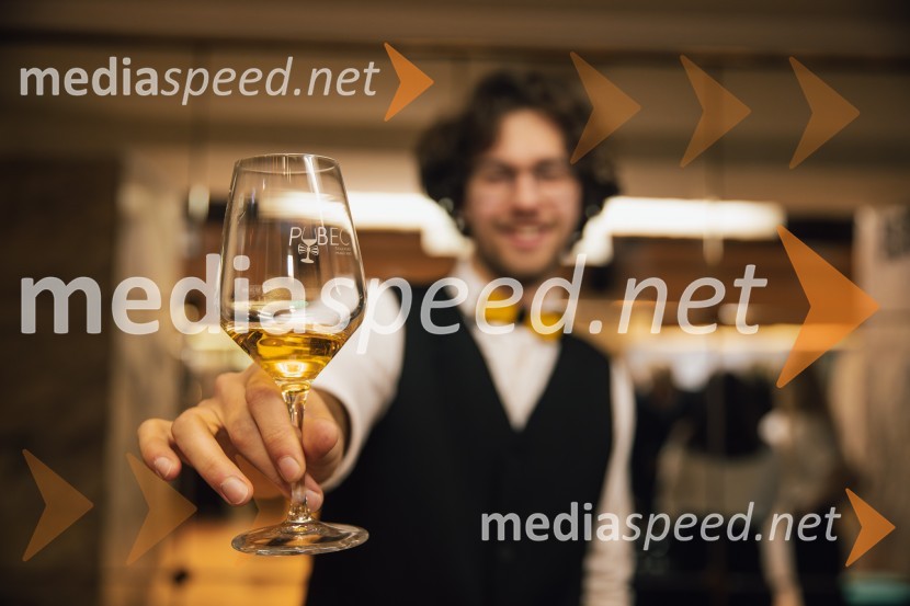 Salon štajerskih mladih vin Pubec 2024 v Ljubljani