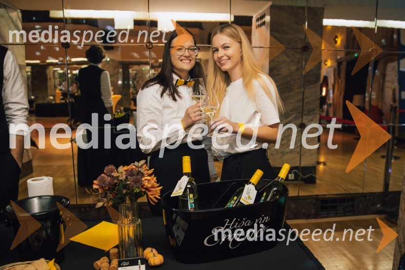 Salon štajerskih mladih vin Pubec 2024 v Ljubljani