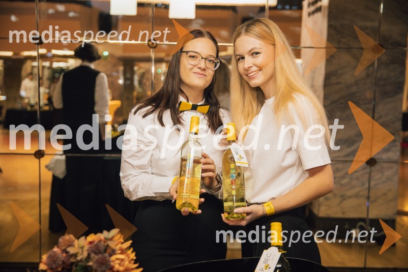 Salon štajerskih mladih vin Pubec 2024 v Ljubljani