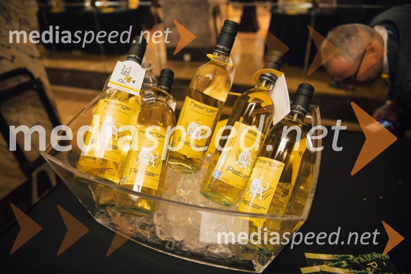 Salon štajerskih mladih vin Pubec 2024 v Ljubljani