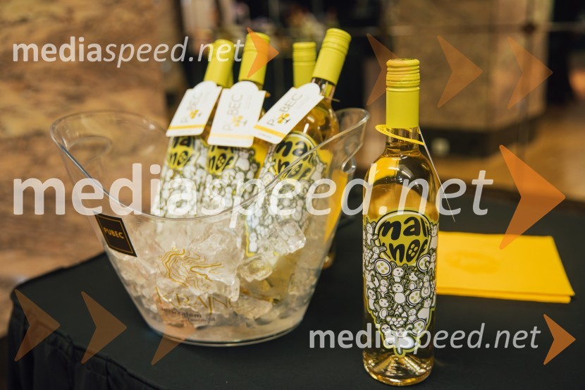 Salon štajerskih mladih vin Pubec 2024 v Ljubljani