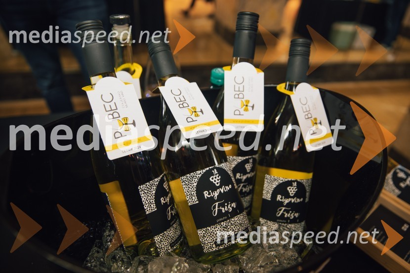 Salon štajerskih mladih vin Pubec 2024 v Ljubljani