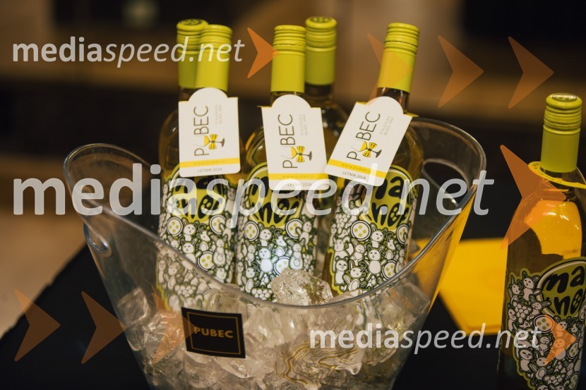 Salon štajerskih mladih vin Pubec 2024 v Ljubljani