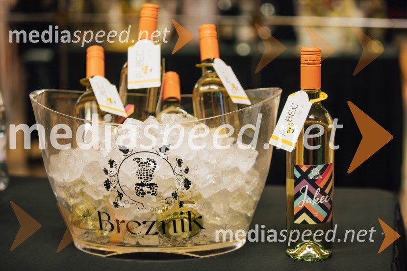 Salon štajerskih mladih vin Pubec 2024 v Ljubljani