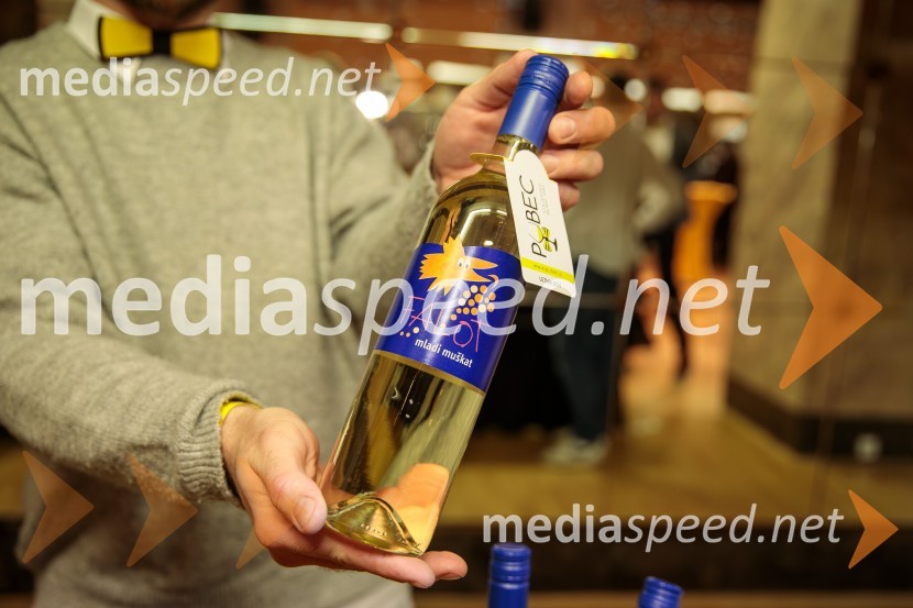 Salon štajerskih mladih vin Pubec 2024 v Ljubljani