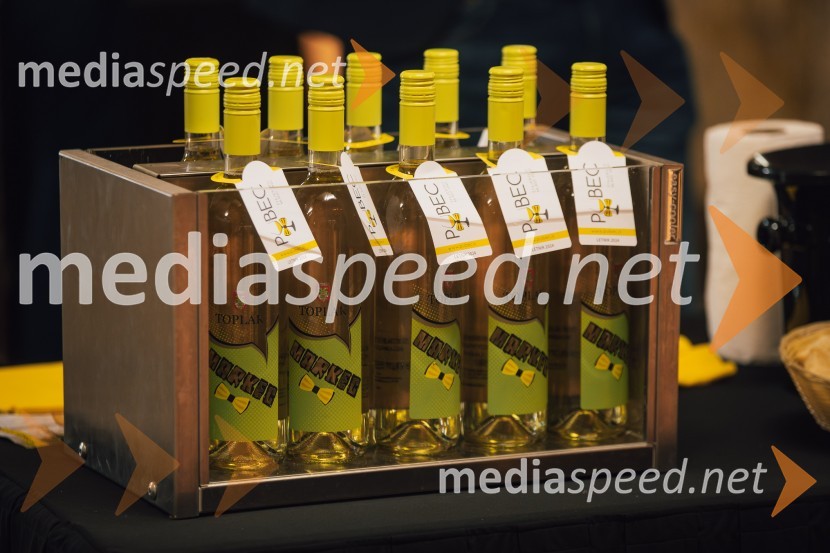 Salon štajerskih mladih vin Pubec 2024 v Ljubljani