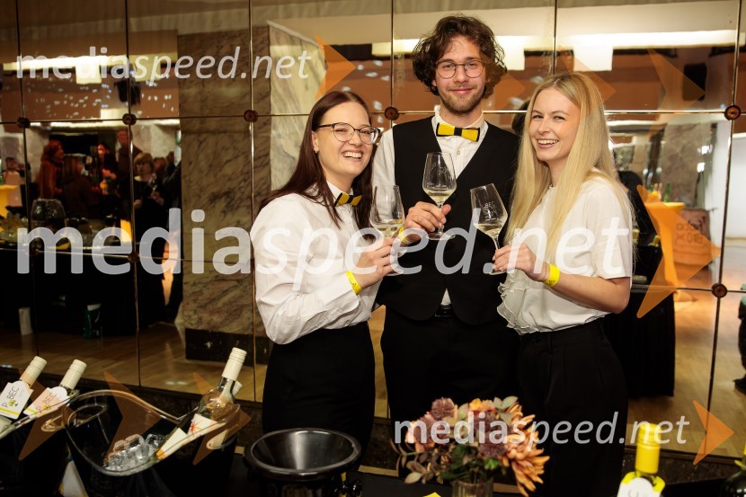  ... ;  Nik Goropevšek, Vina Horvat;  ... Salon štajerskih mladih vin Pubec 2024 v Ljubljani