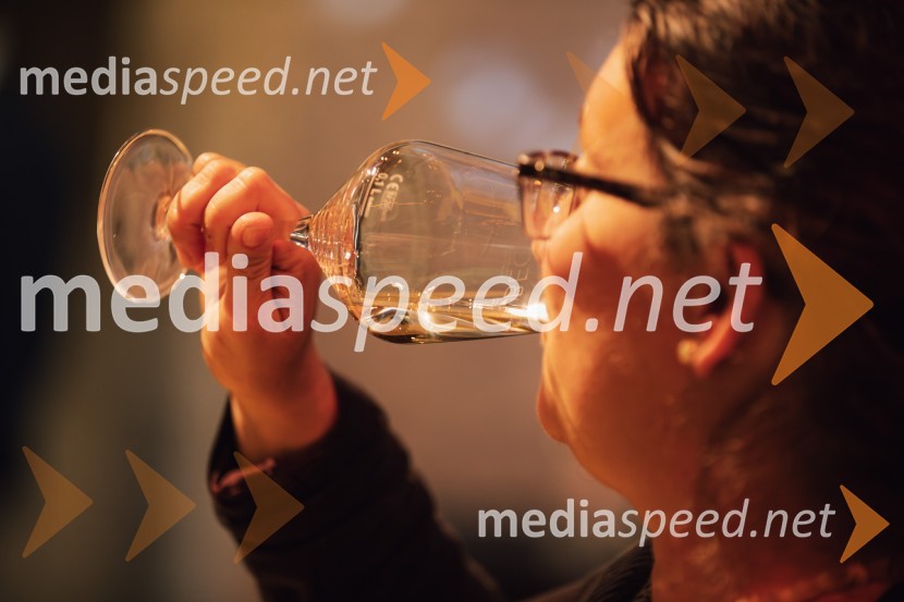 Salon štajerskih mladih vin Pubec 2024 v Ljubljani