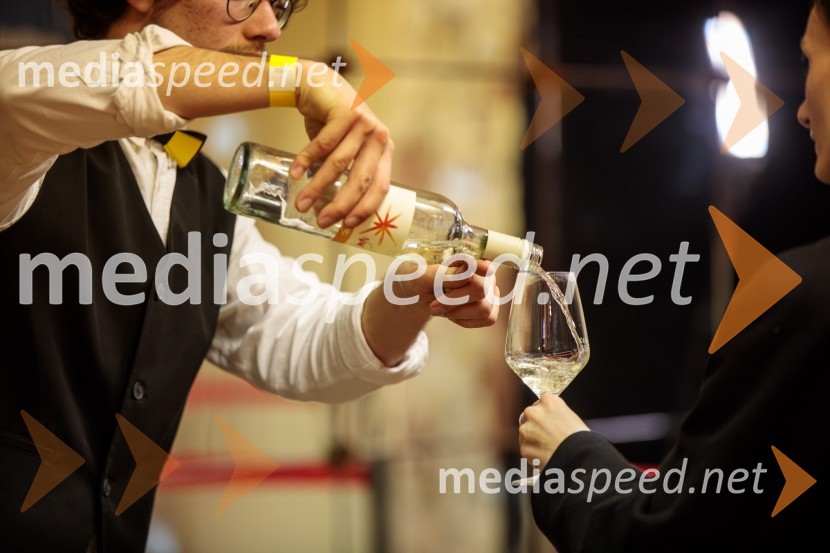 Salon štajerskih mladih vin Pubec 2024 v Ljubljani