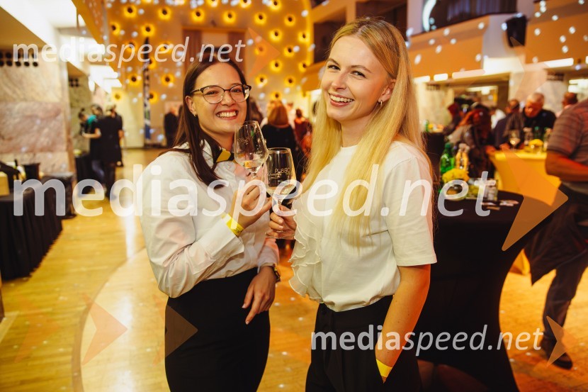 Salon štajerskih mladih vin Pubec 2024 v Ljubljani