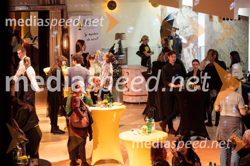 Salon štajerskih mladih vin Pubec 2024 v Ljubljani